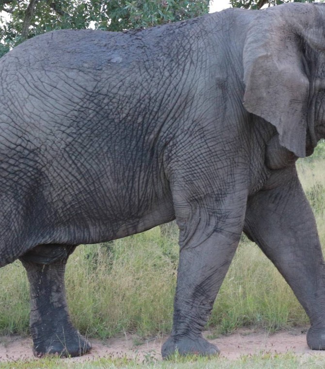 The Time I Fell in Love in Africa: Part 1