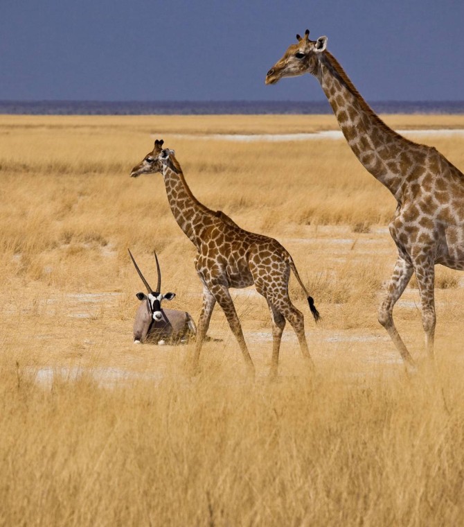 Why Travel? Because Not All Classrooms Have 4 Walls