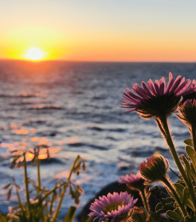 Founders' Recommendations