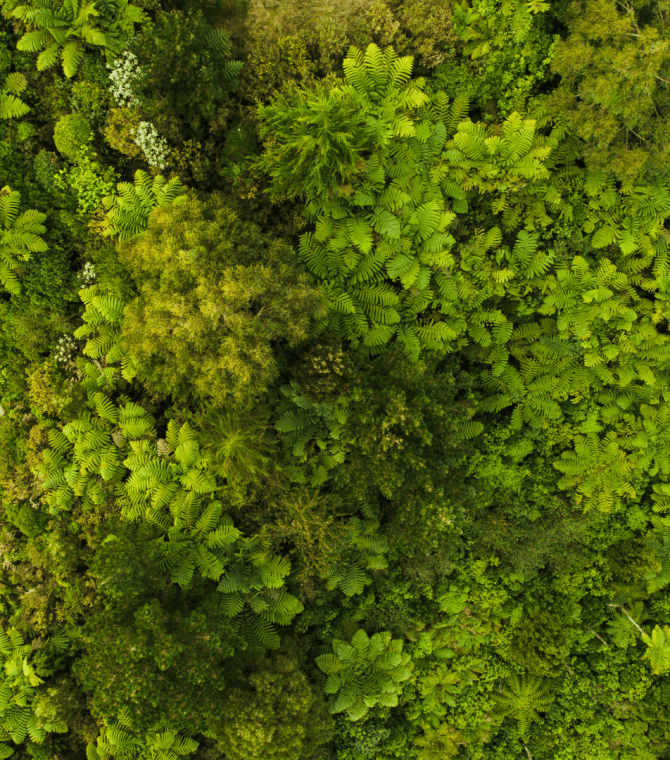 How to be a more Sustainable Traveler