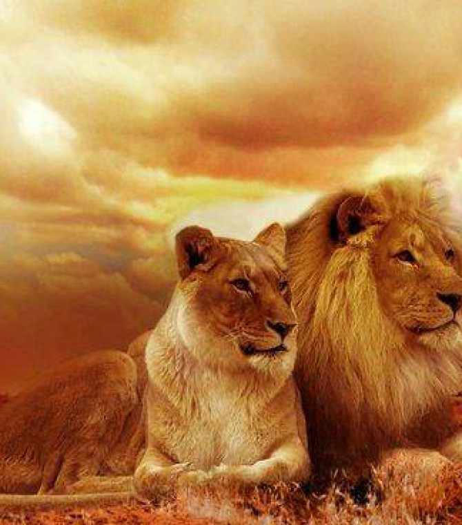 South Africa for Chinese New Year - Exclusive Offers!